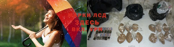 спиды Аркадак