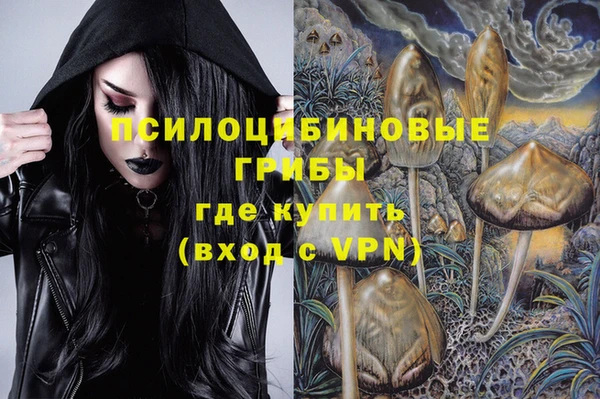 спиды Аркадак