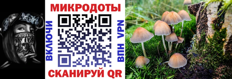 Псилоцибиновые грибы Psilocybine cubensis  Купить закладки  Гаврилов Посад 