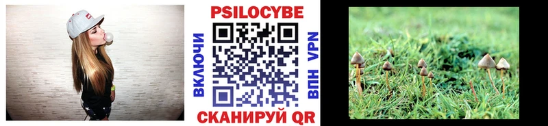 Галлюциногенные грибы GOLDEN TEACHER Гаврилов Посад